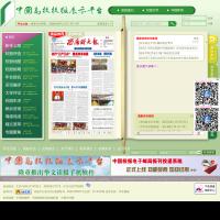 中國高校校報展示平臺