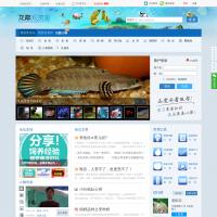 龍巔觀賞魚
