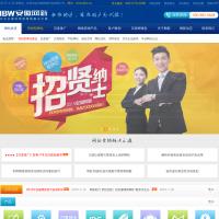 安徽網新科技有限公司