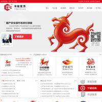 中標軟件