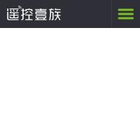 遙控壹族