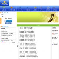 IP流量聯盟