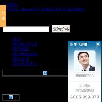 313SEO服務(wù)