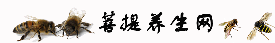 菩提養生網