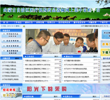 內蒙古自治區醫療機構藥品網上集中采購平臺