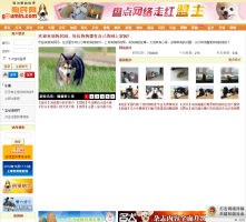 狗民網