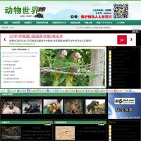 動(dòng)物世界