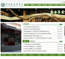 石家莊經濟學院