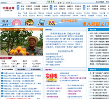 中國店網