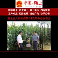 潁上縣政府門戶網站