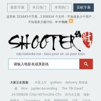射手網(偽)