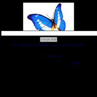 Google搜索鏡像