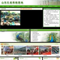 山東孔雀養(yǎng)殖場