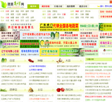 蔬菜商情網(wǎng)