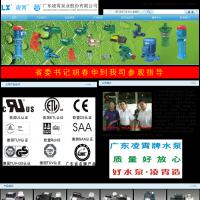 廣東凌霄泵業股份有限公司
