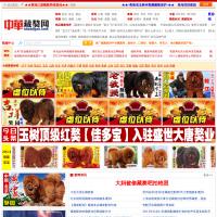 中華藏獒網(wǎng)