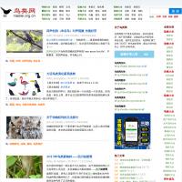 鳥類網