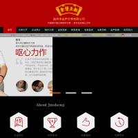 揚(yáng)州金聲古箏有限公司
